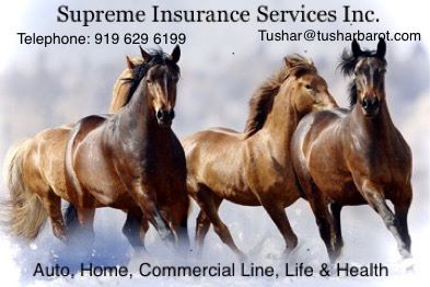 Supreme Insurance Services Inc